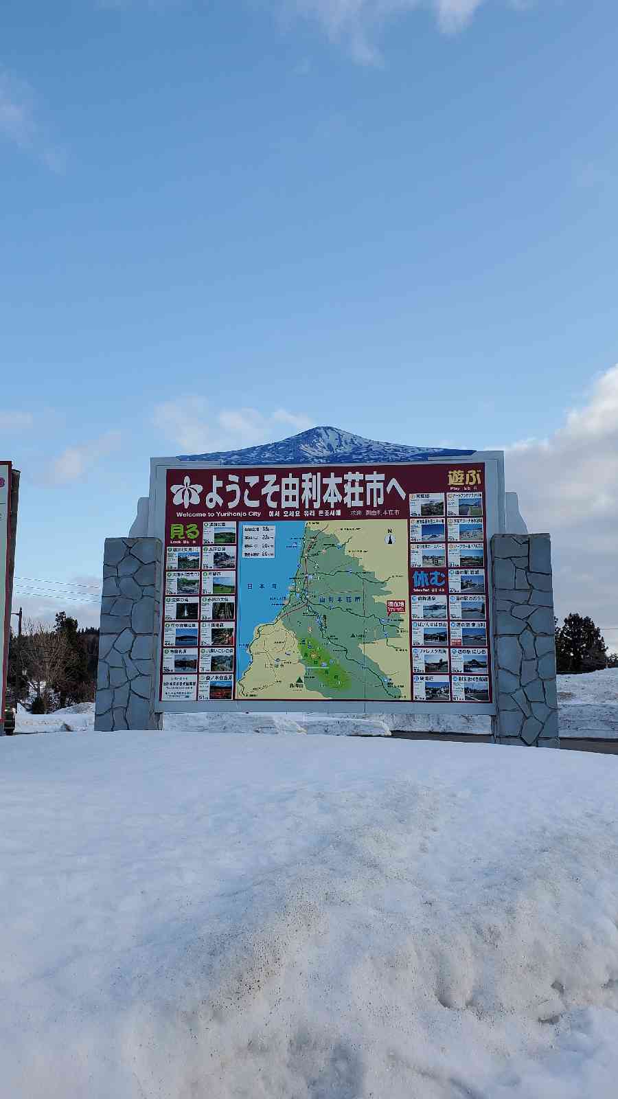 投稿された画像