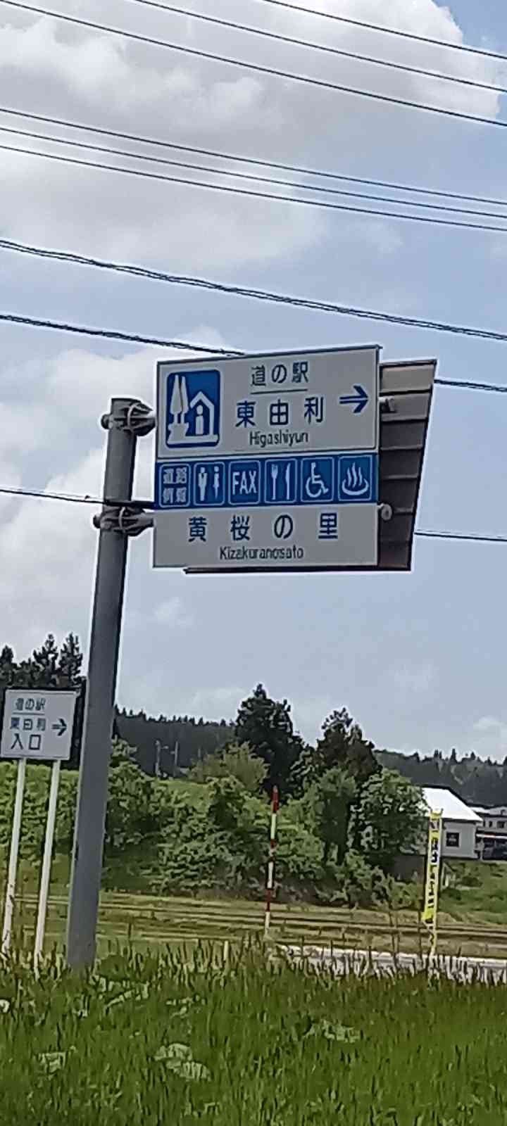 投稿された画像