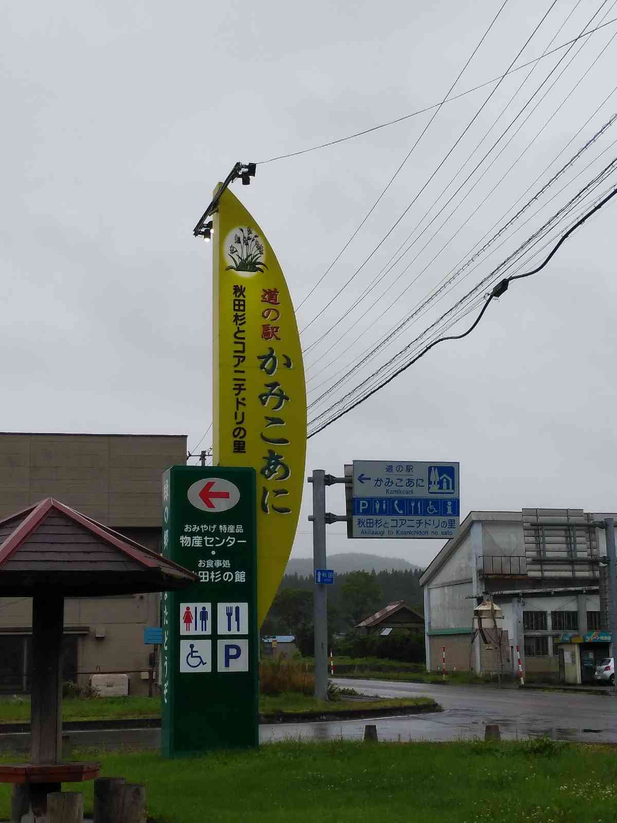 投稿された画像