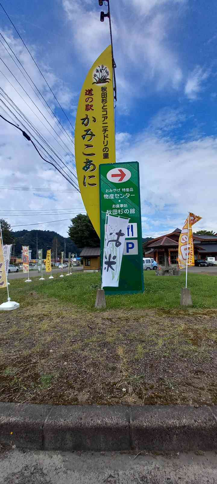 投稿された画像