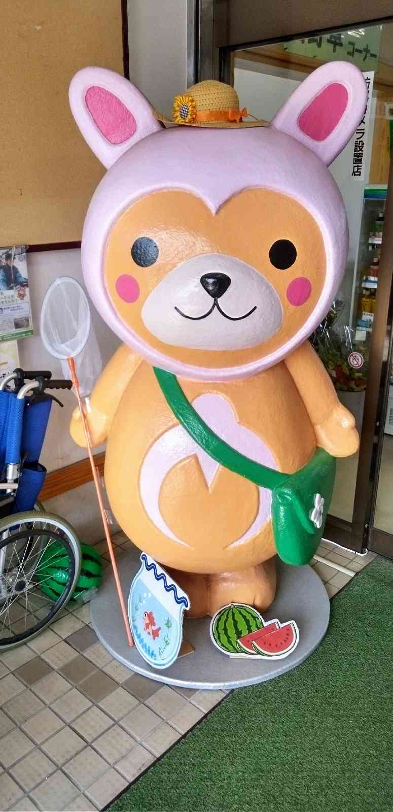 道の駅 かみこあにの写真