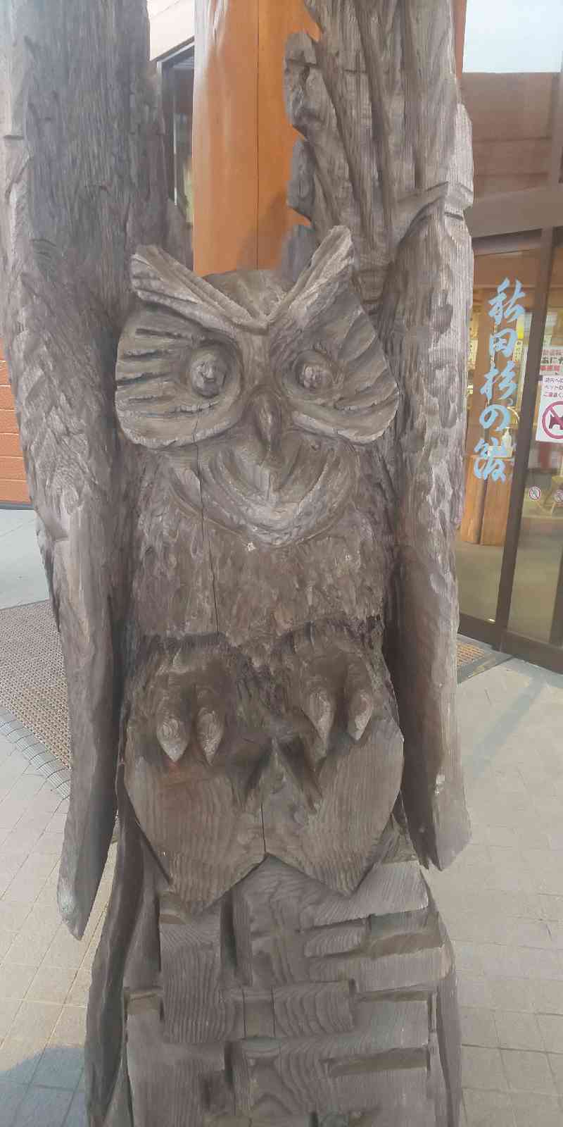 道の駅 かみこあにの写真