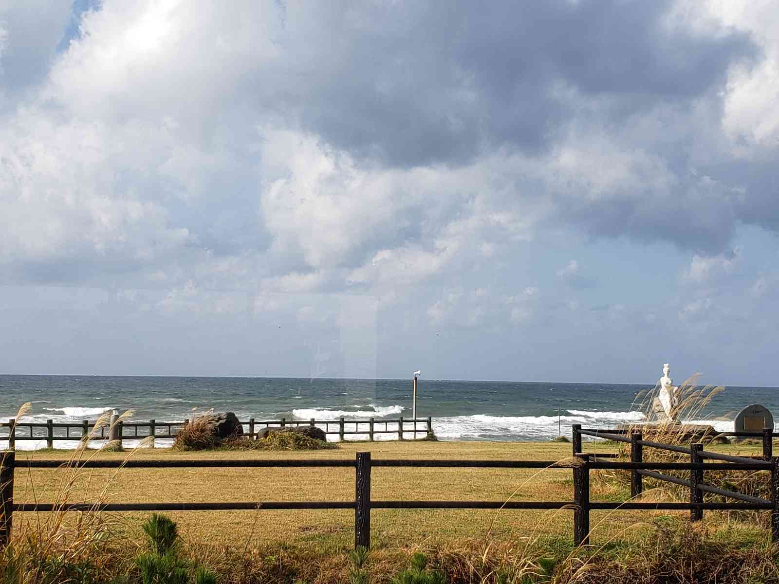 投稿された画像