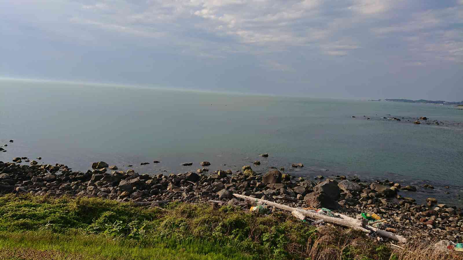 投稿された画像