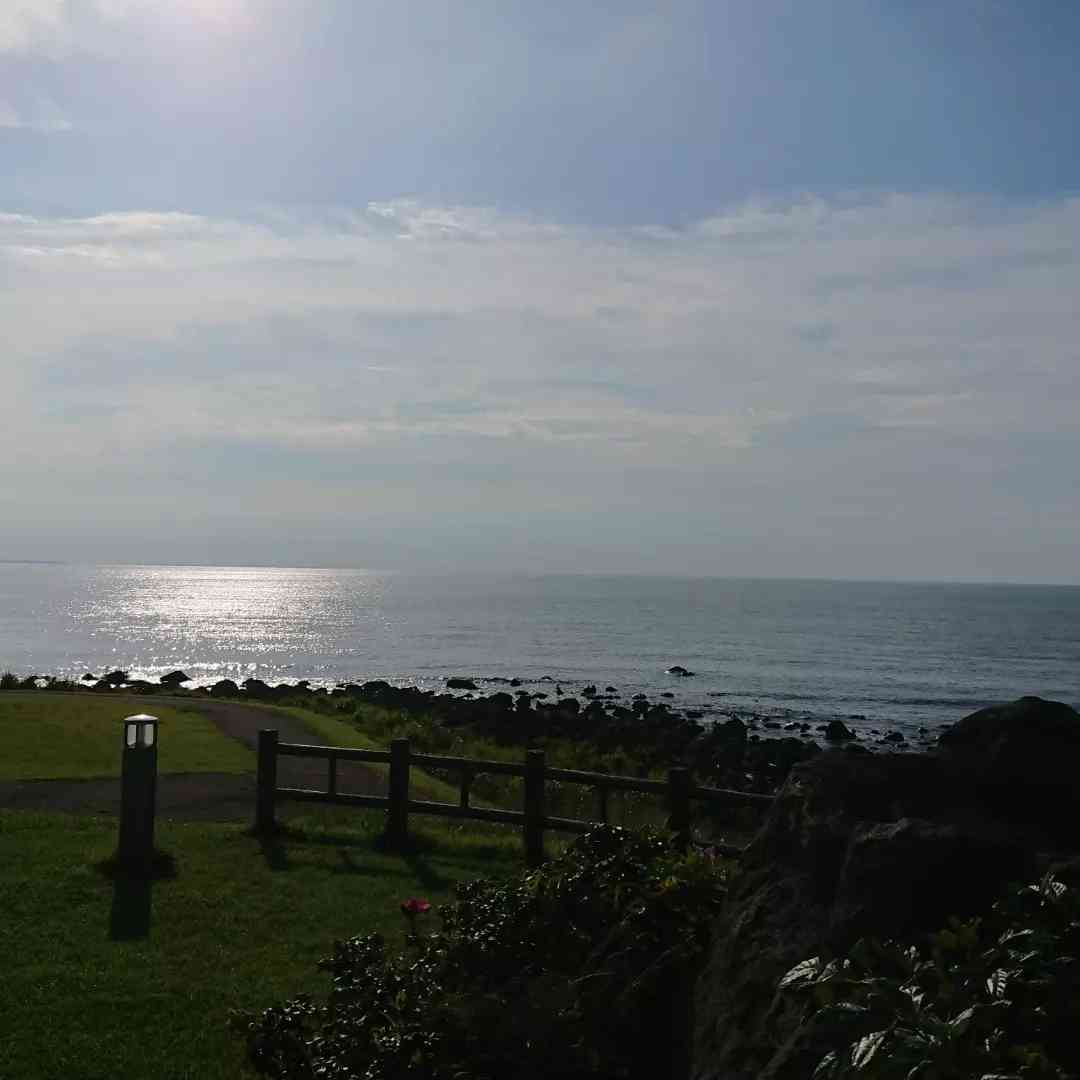 投稿された画像