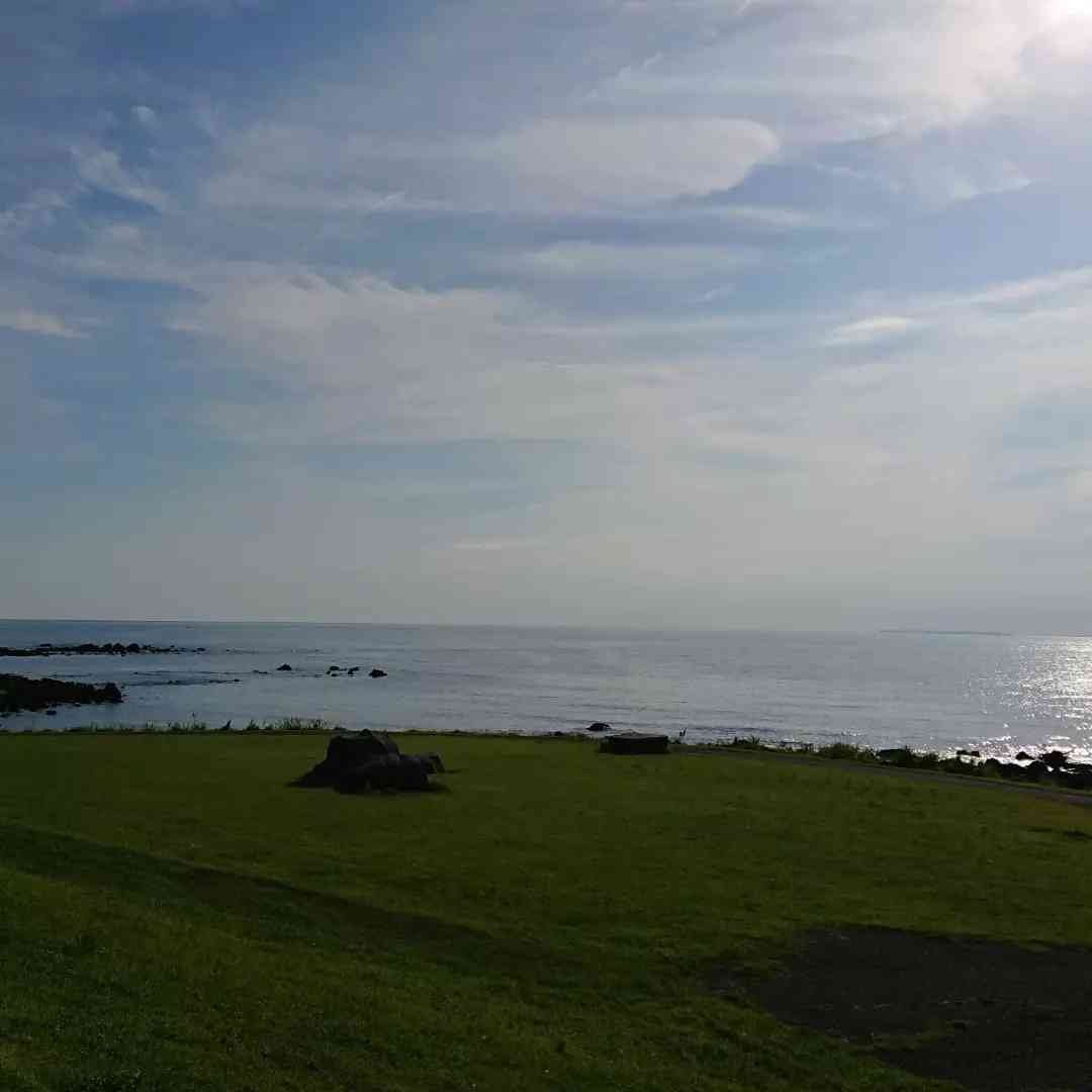 投稿された画像