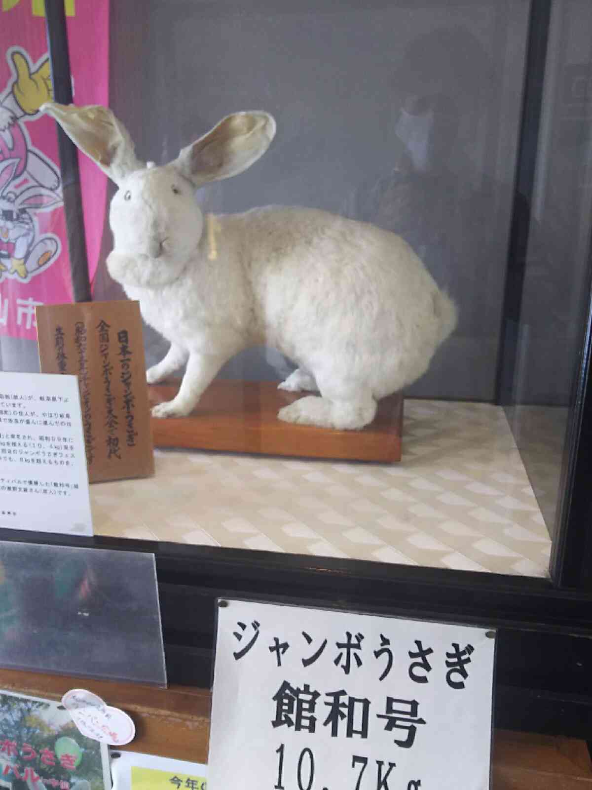 投稿された画像