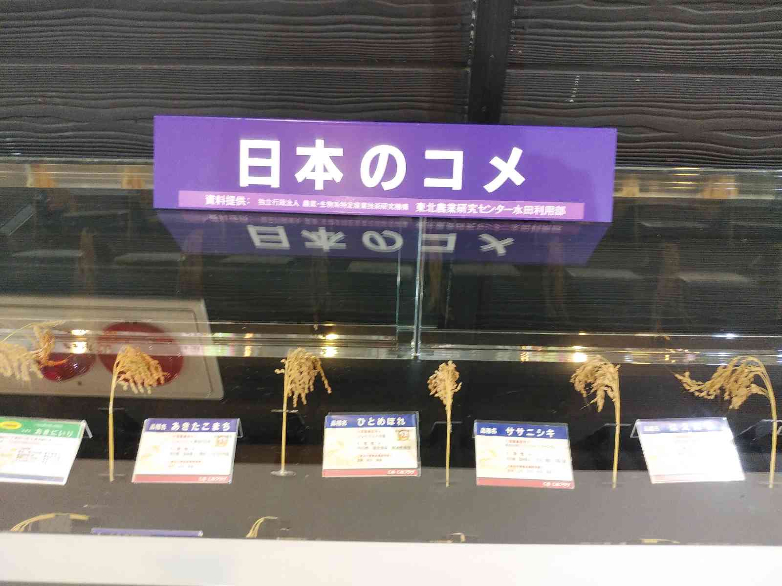 投稿された画像