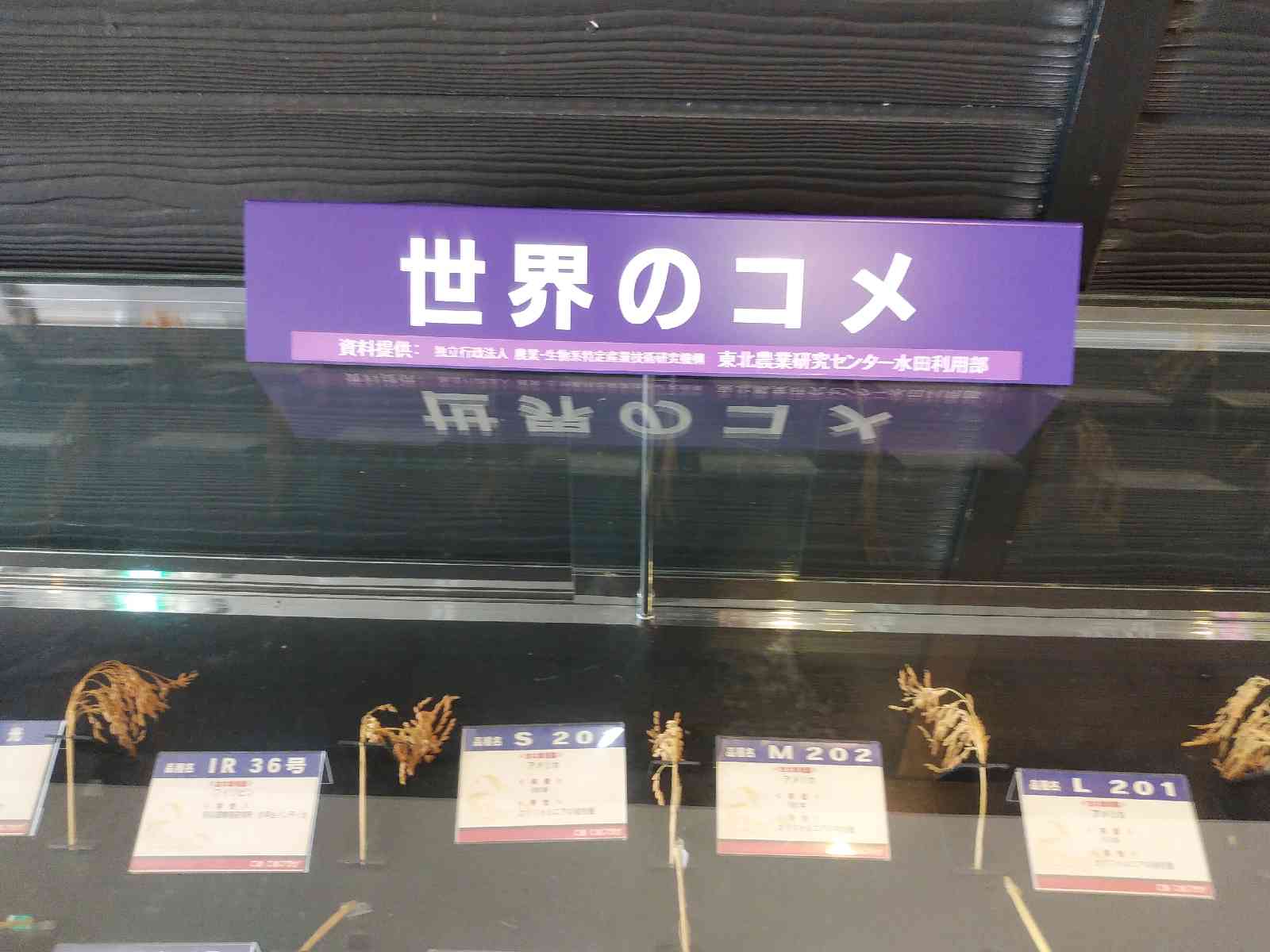 投稿された画像