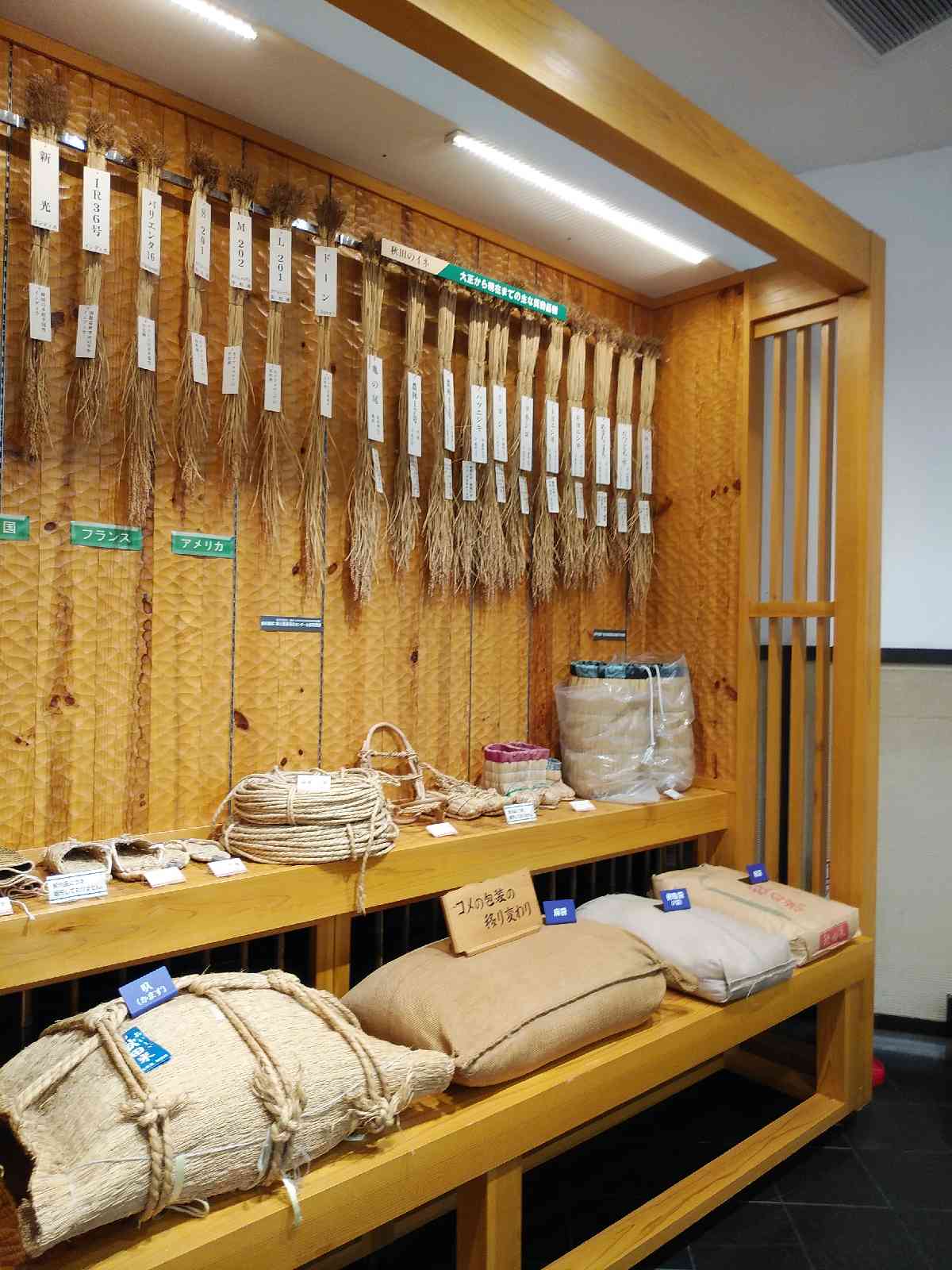 投稿された画像