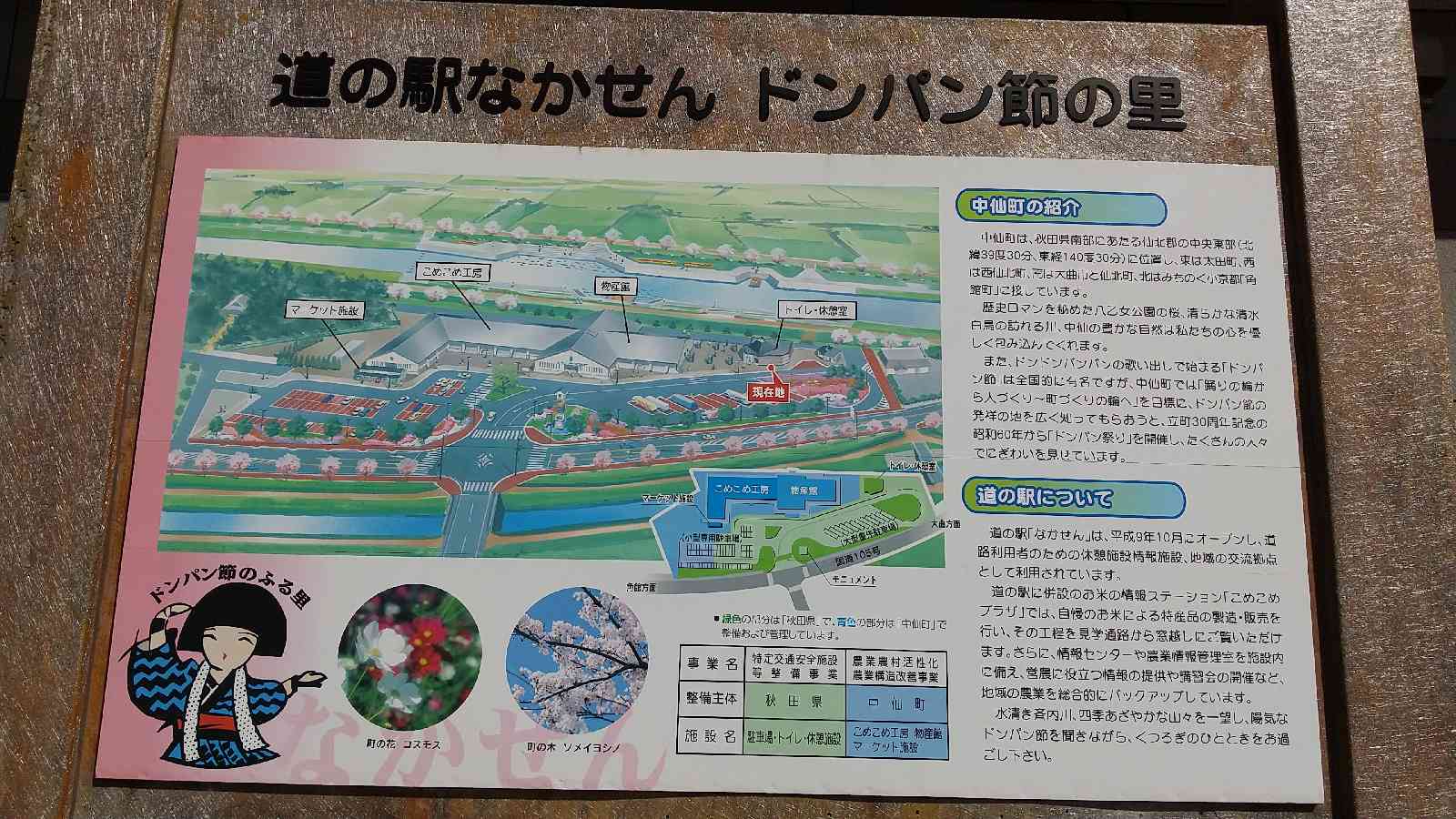 投稿された画像