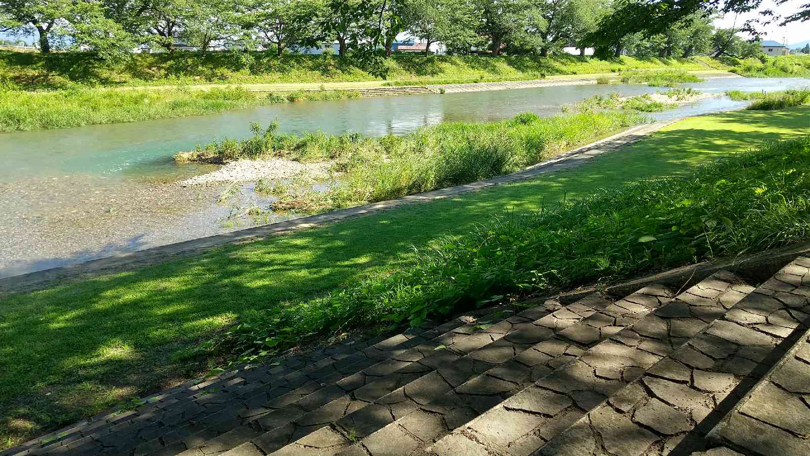 投稿された画像