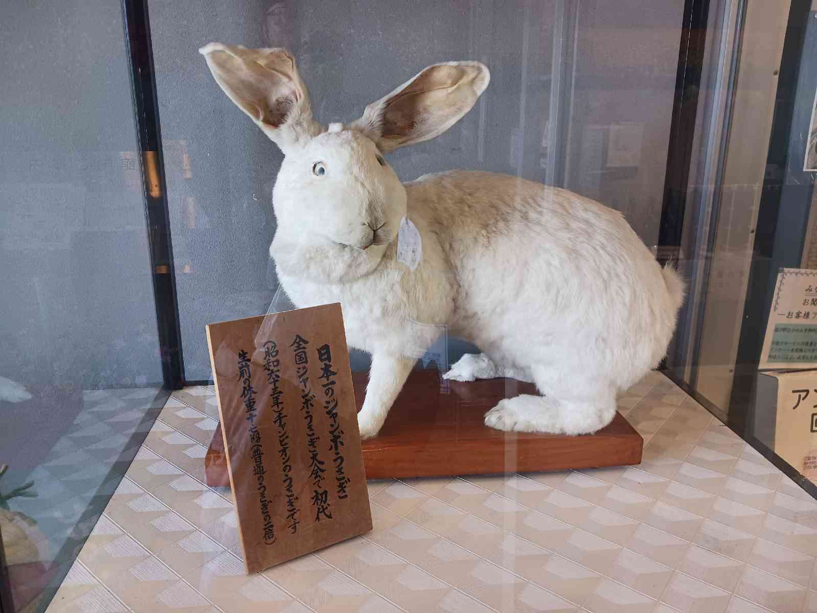 道の駅 なかせんの写真