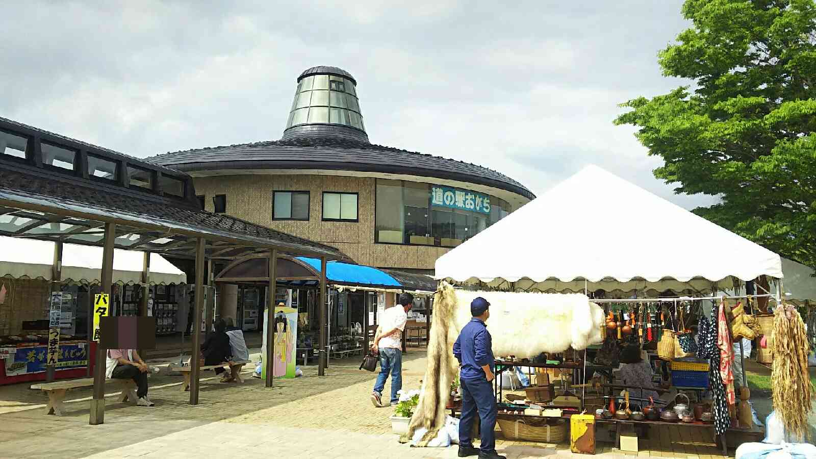 投稿された画像