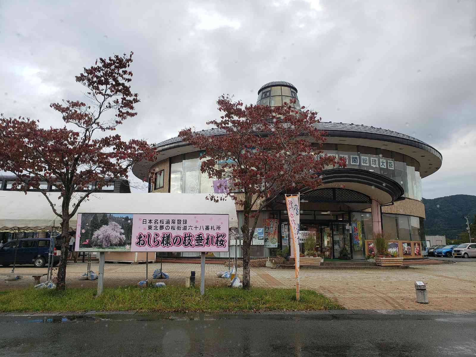 投稿された画像