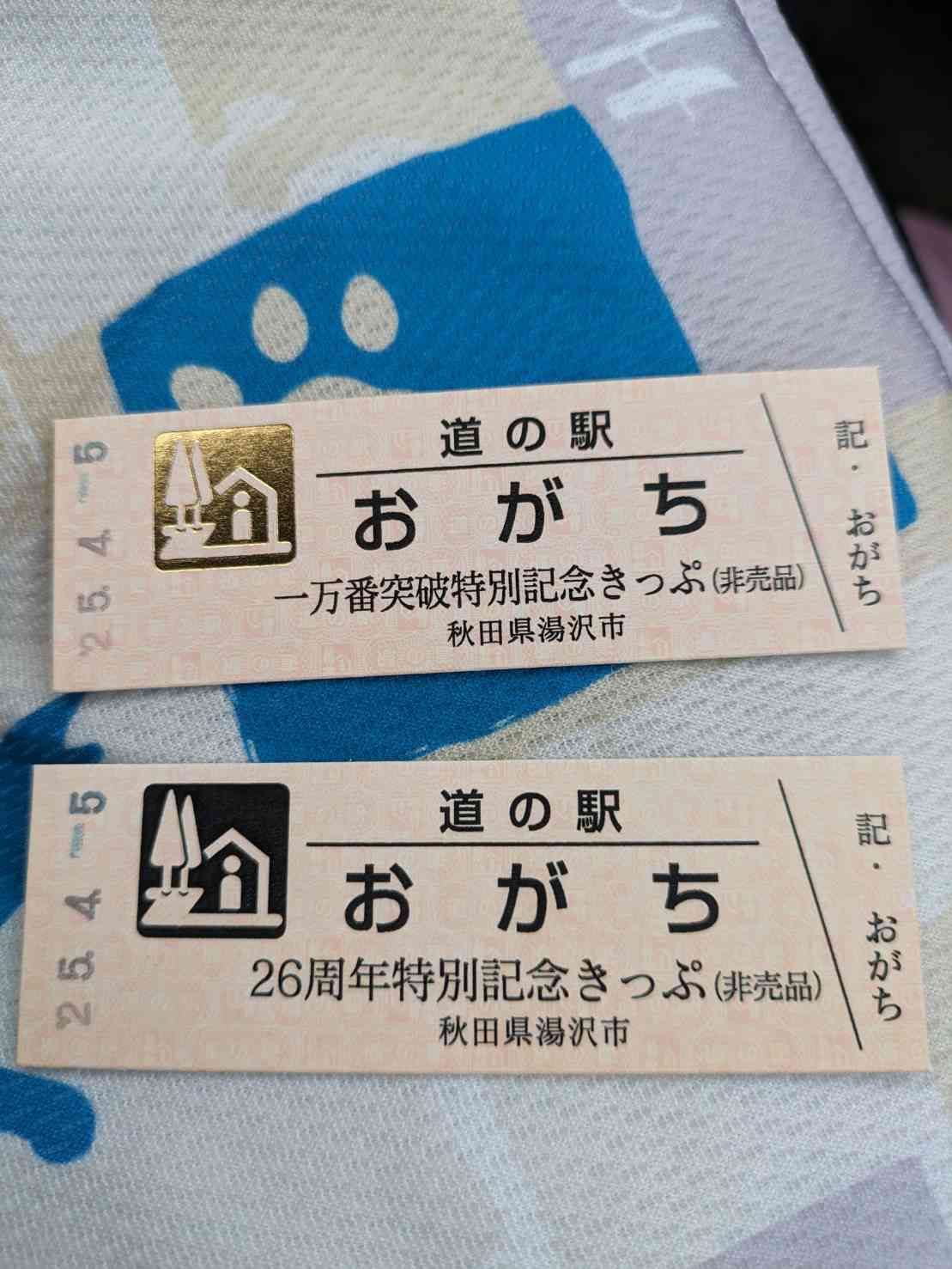 道の駅 おがちの写真