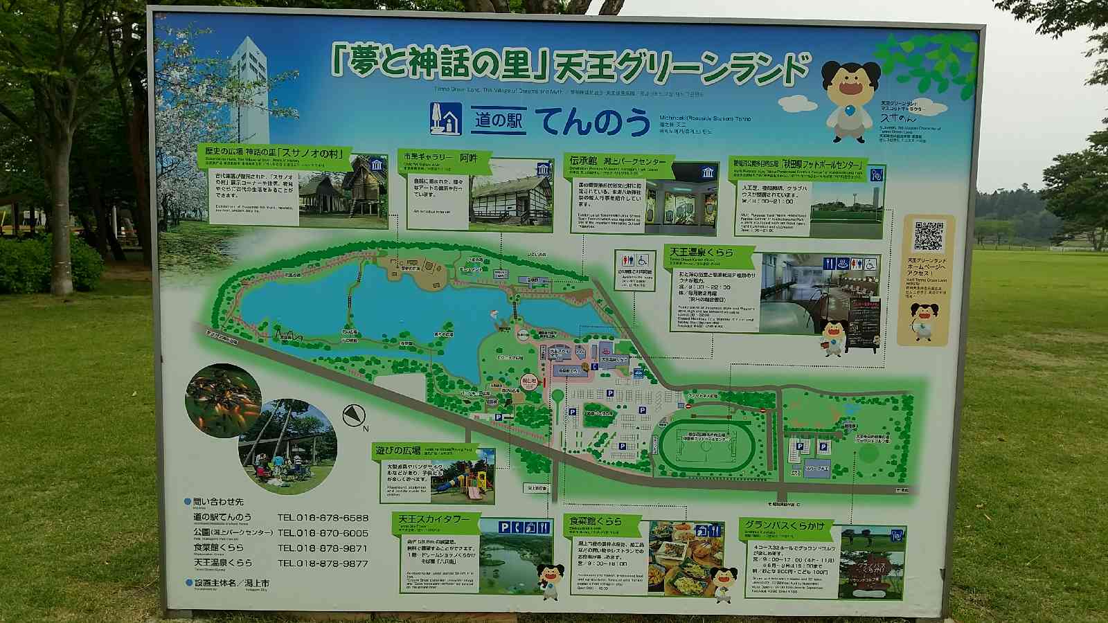 投稿された画像