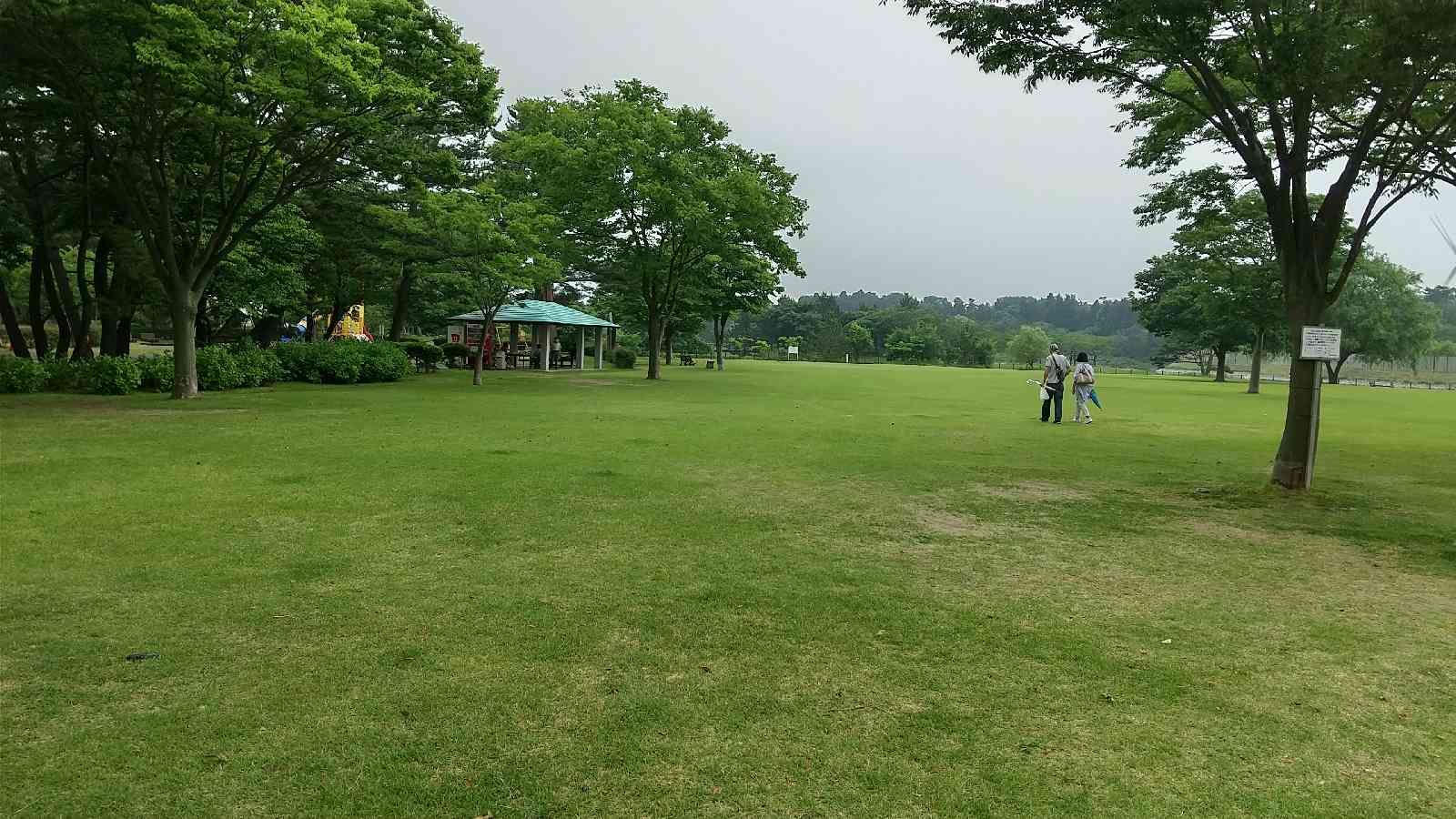 投稿された画像