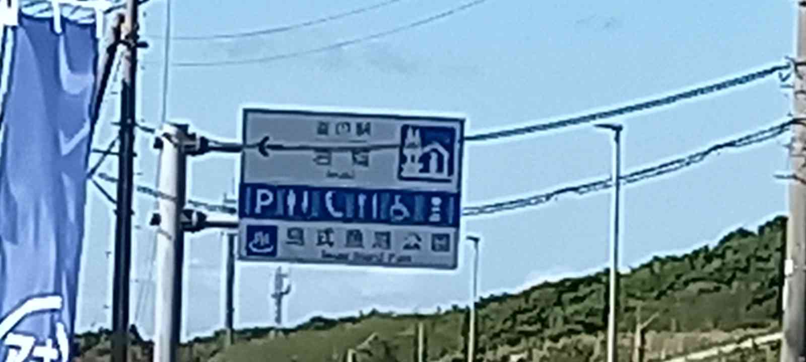 投稿された画像