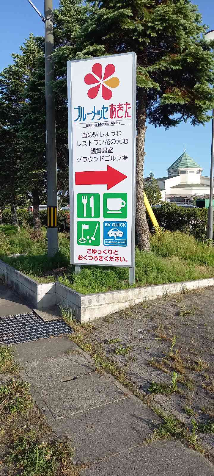 投稿された画像