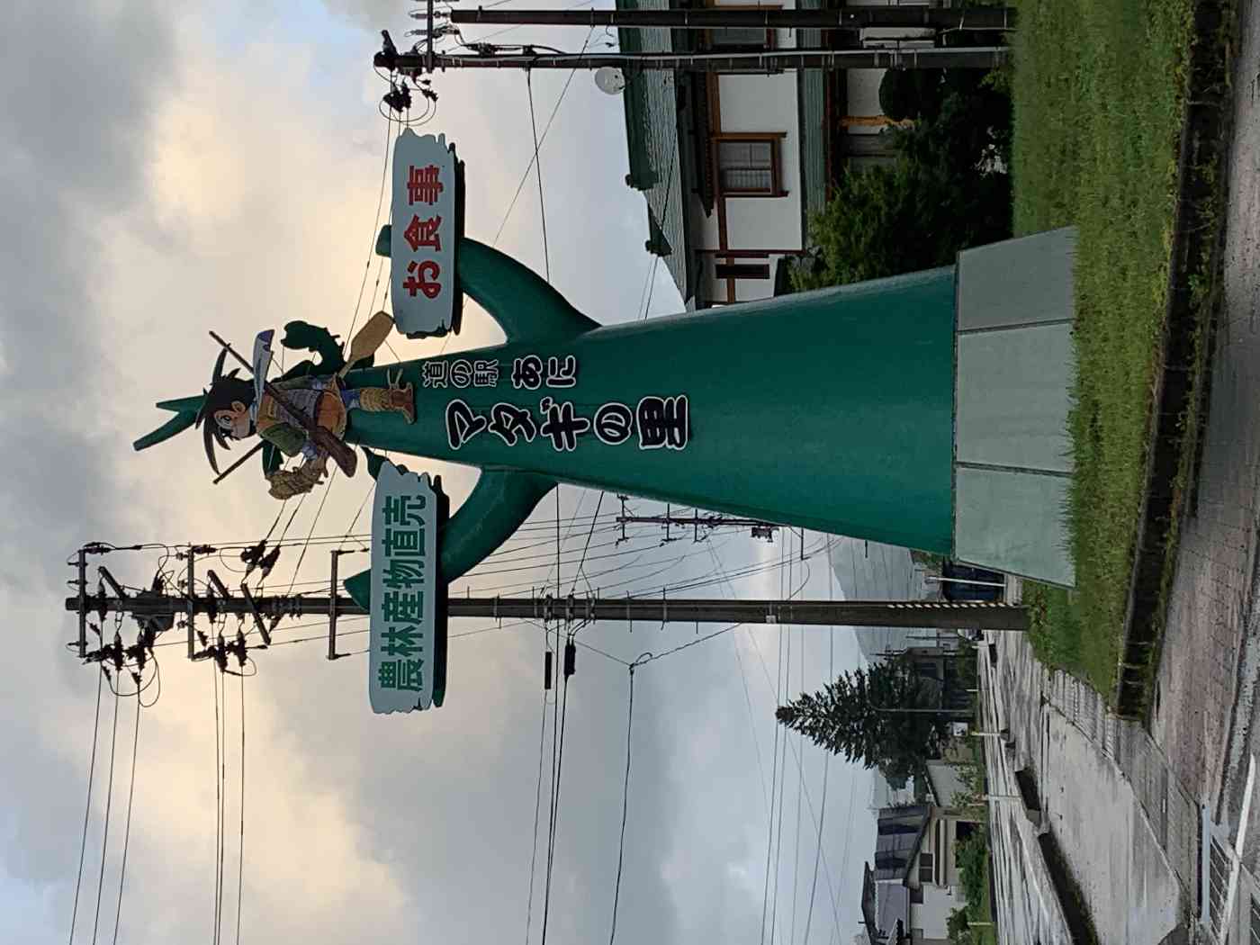 投稿された画像