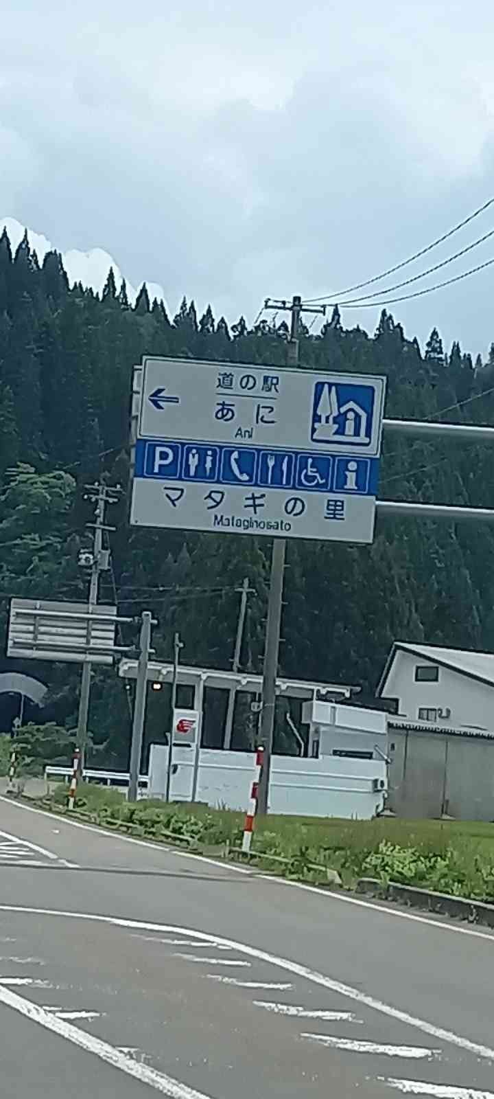 投稿された画像