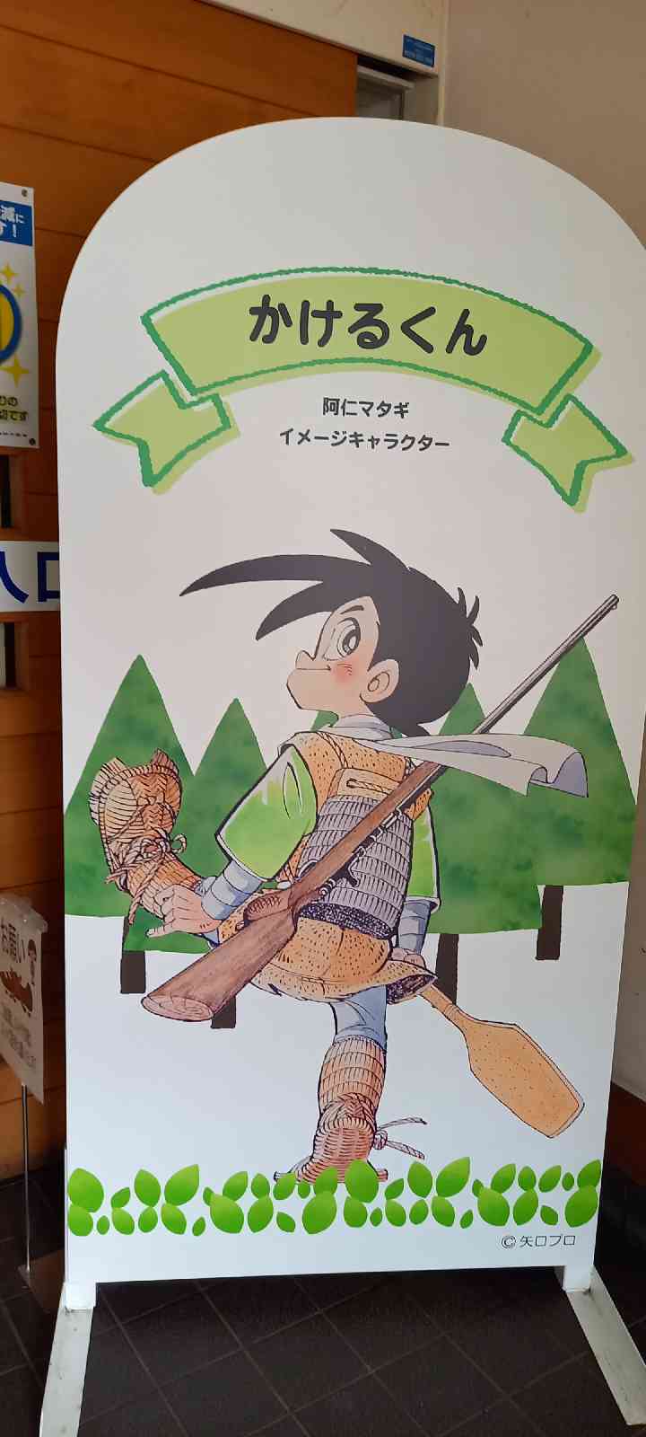 投稿された画像
