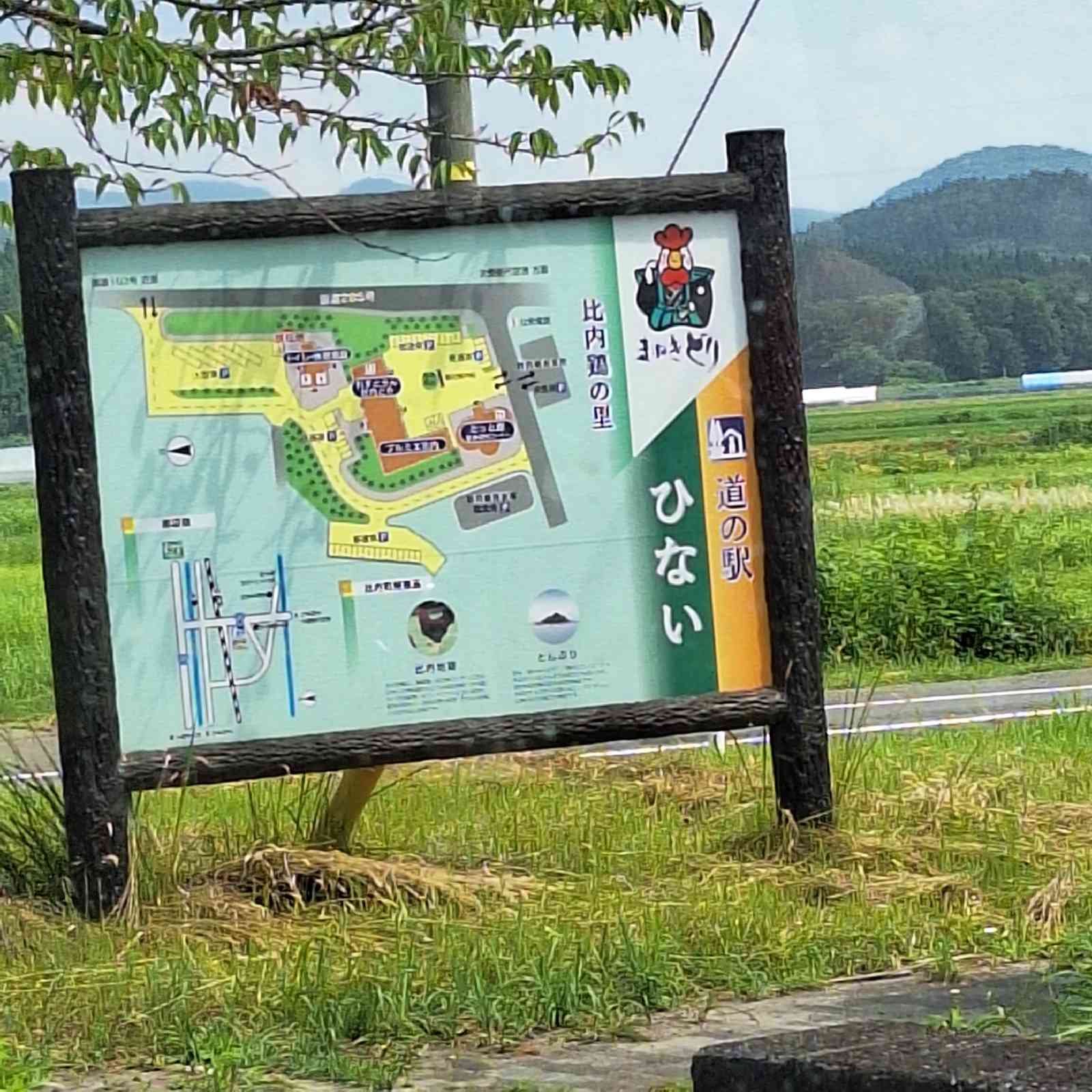 道の駅 ひないの写真