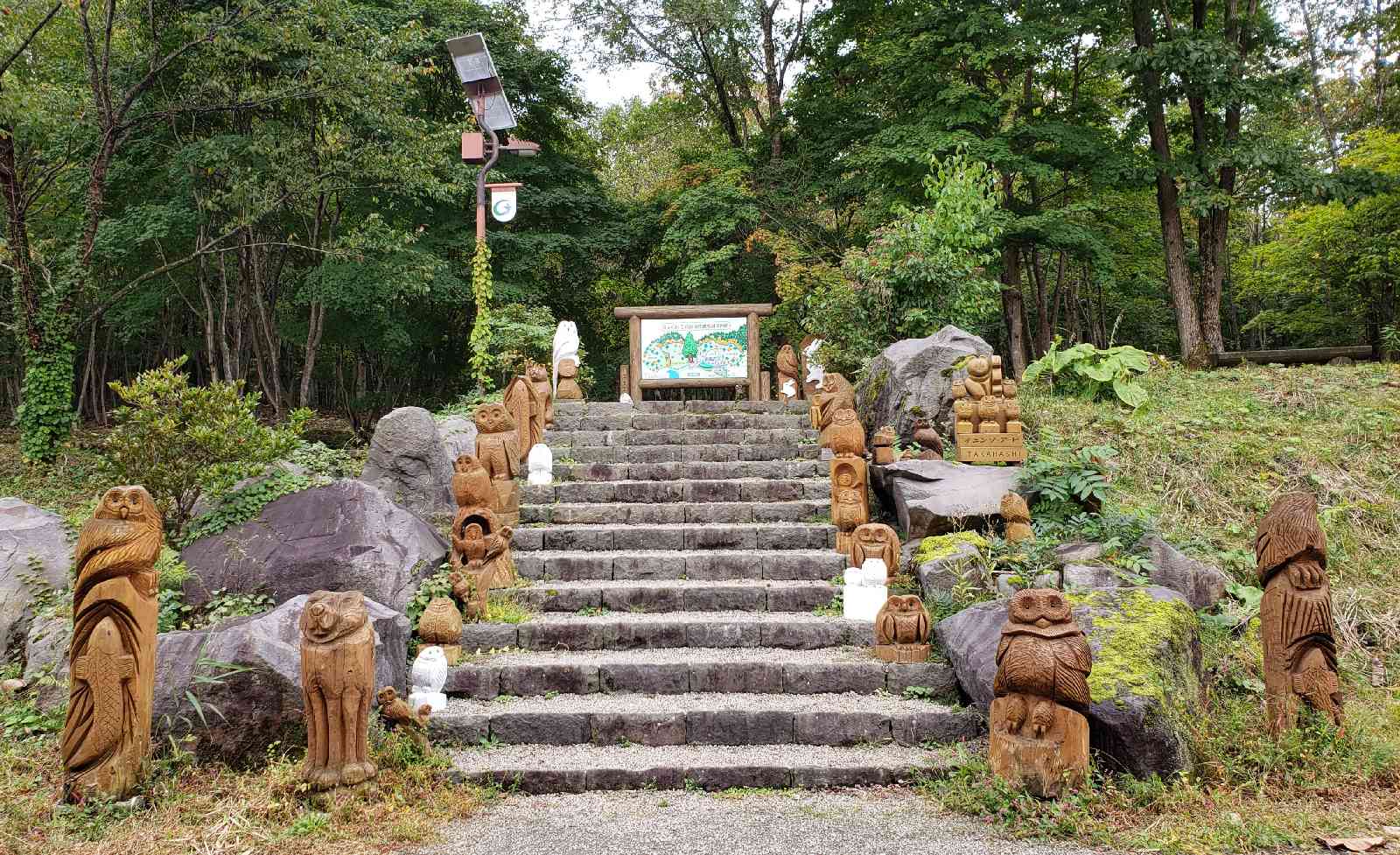 投稿された画像