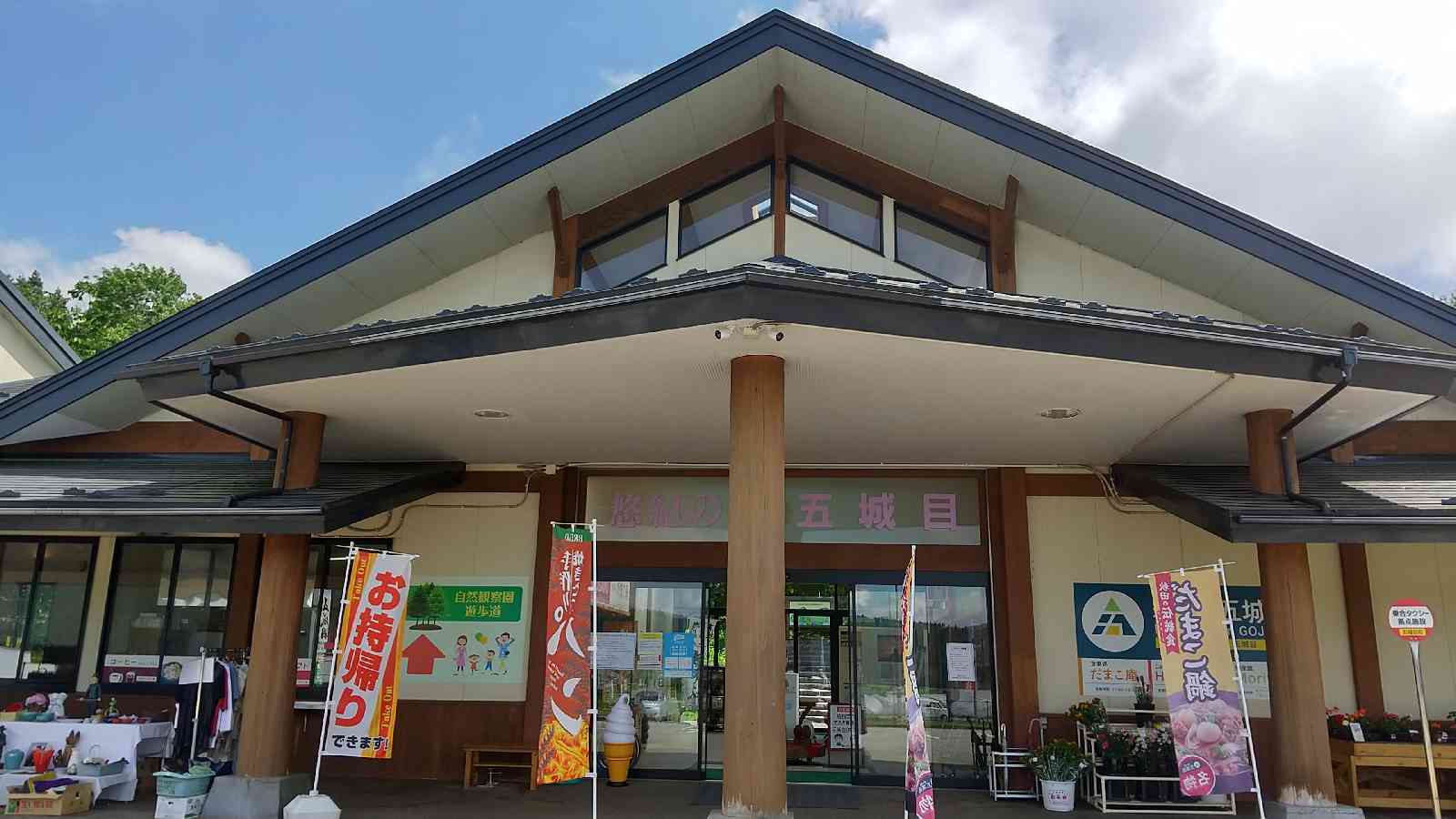 投稿された画像