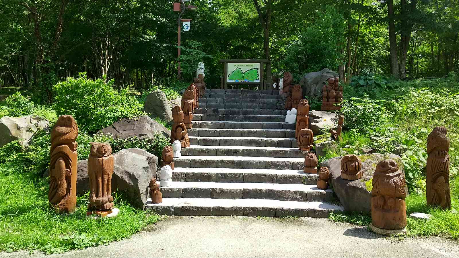 投稿された画像