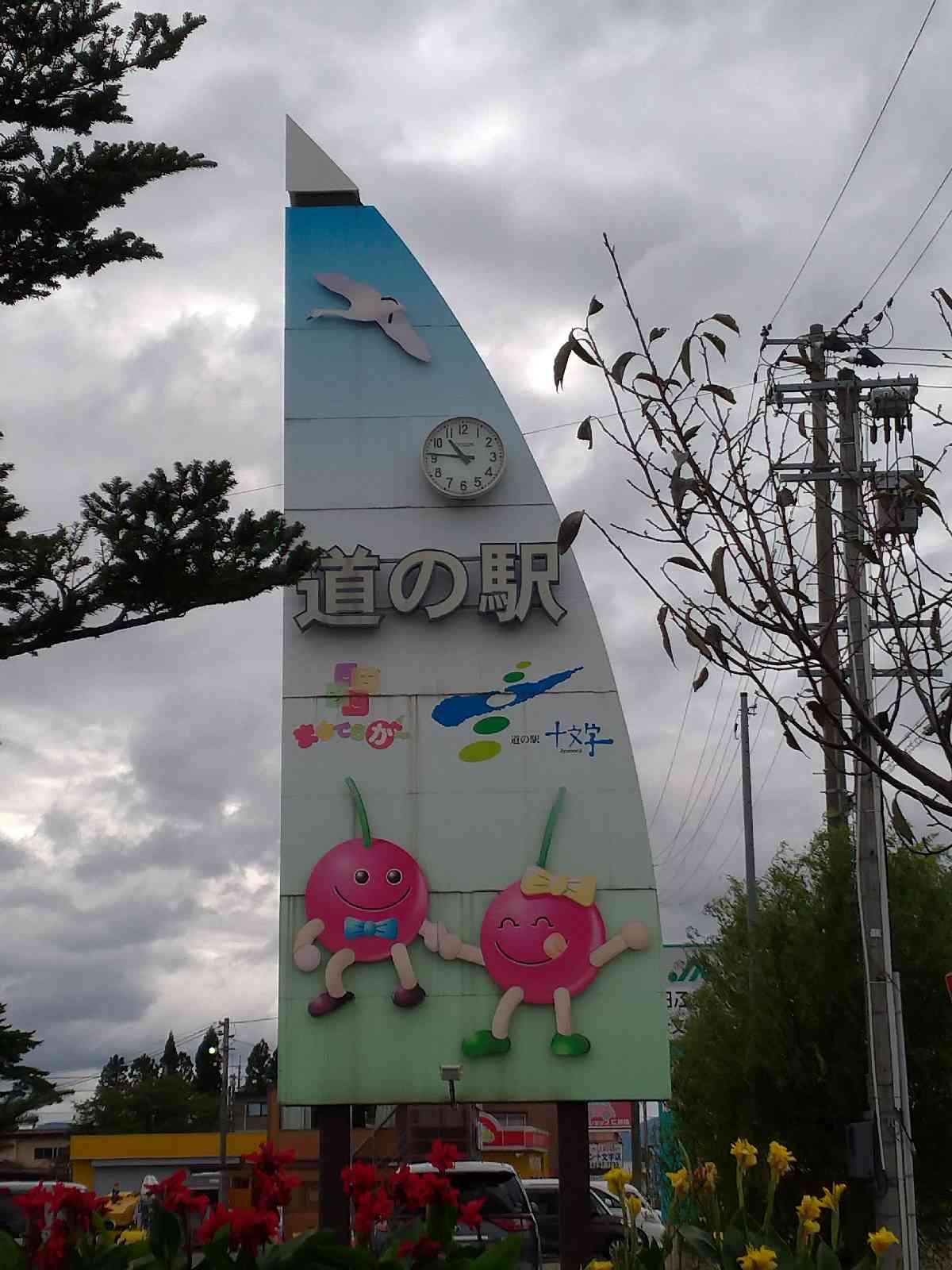 投稿された画像