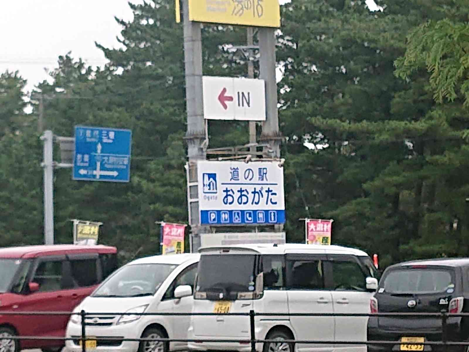 投稿された画像