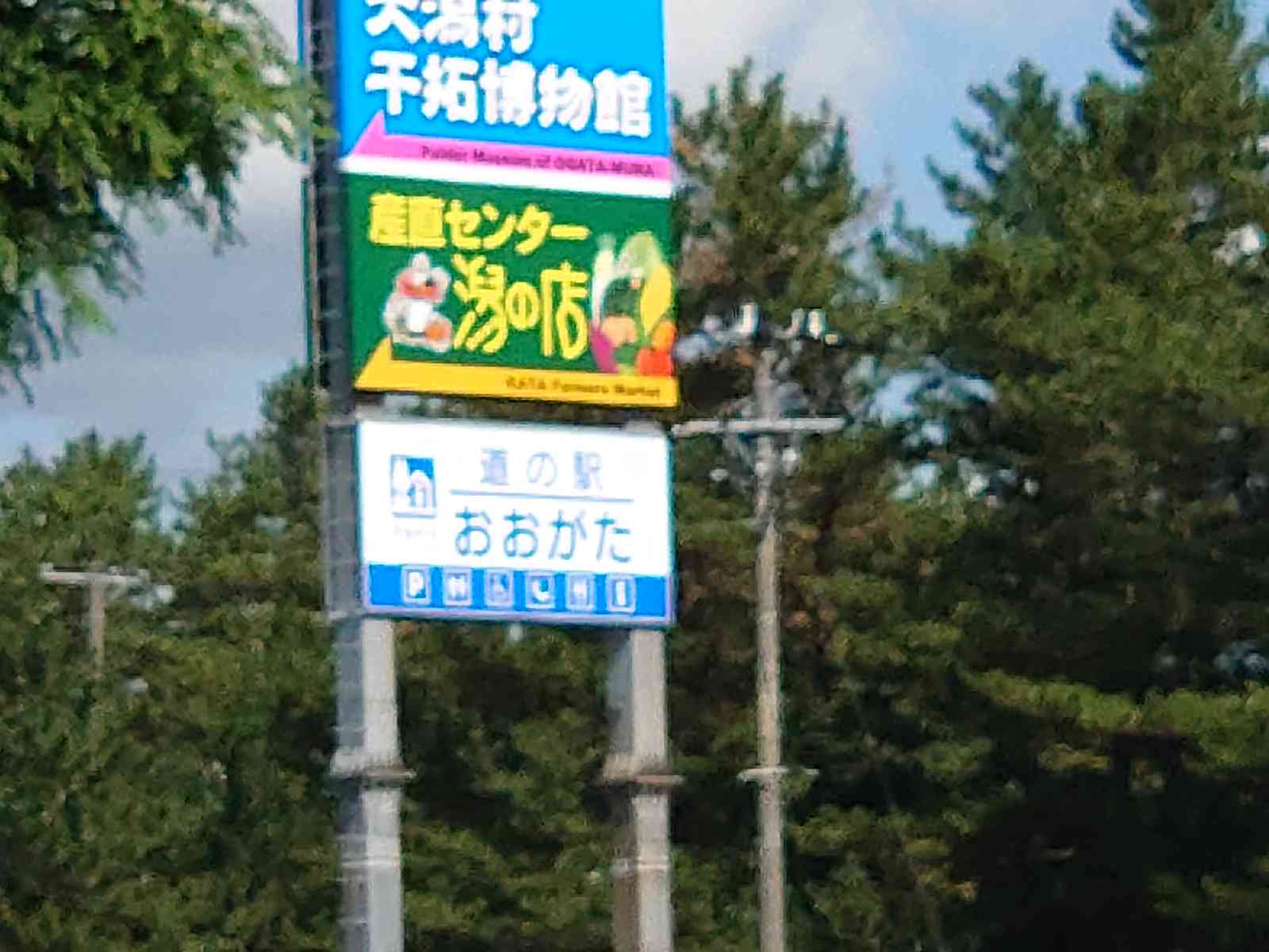 投稿された画像