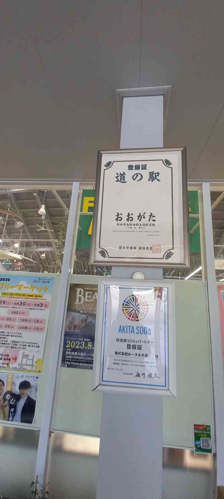 投稿された画像