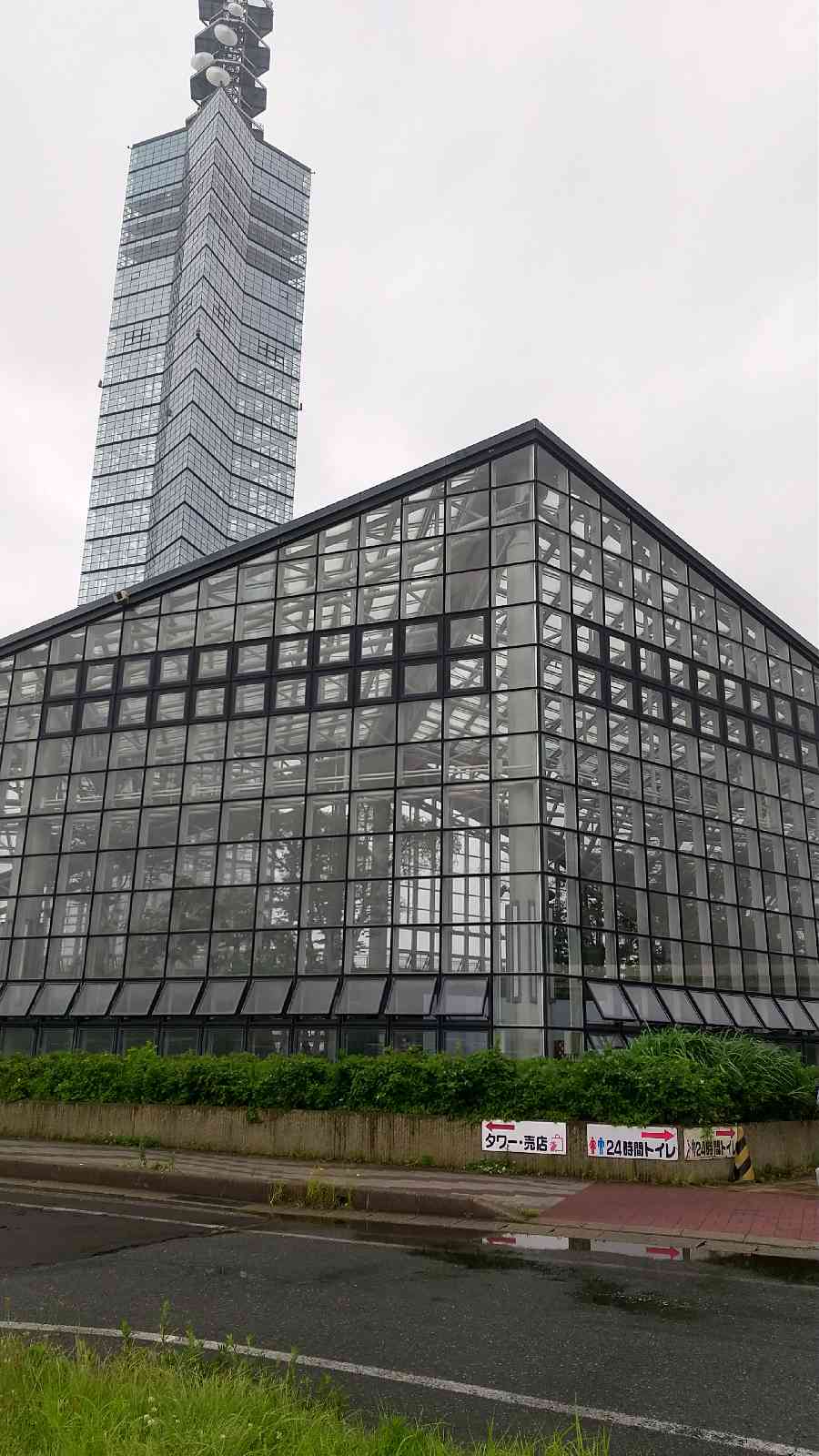 投稿された画像