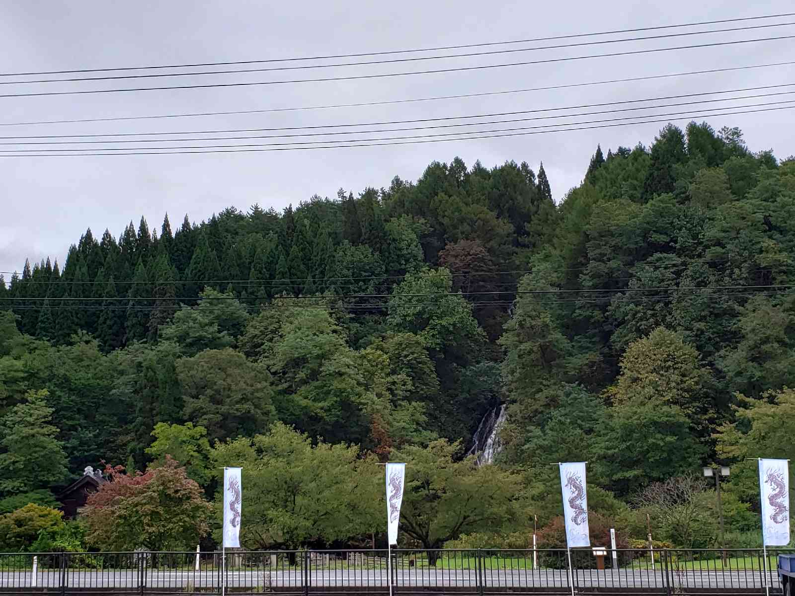 投稿された画像