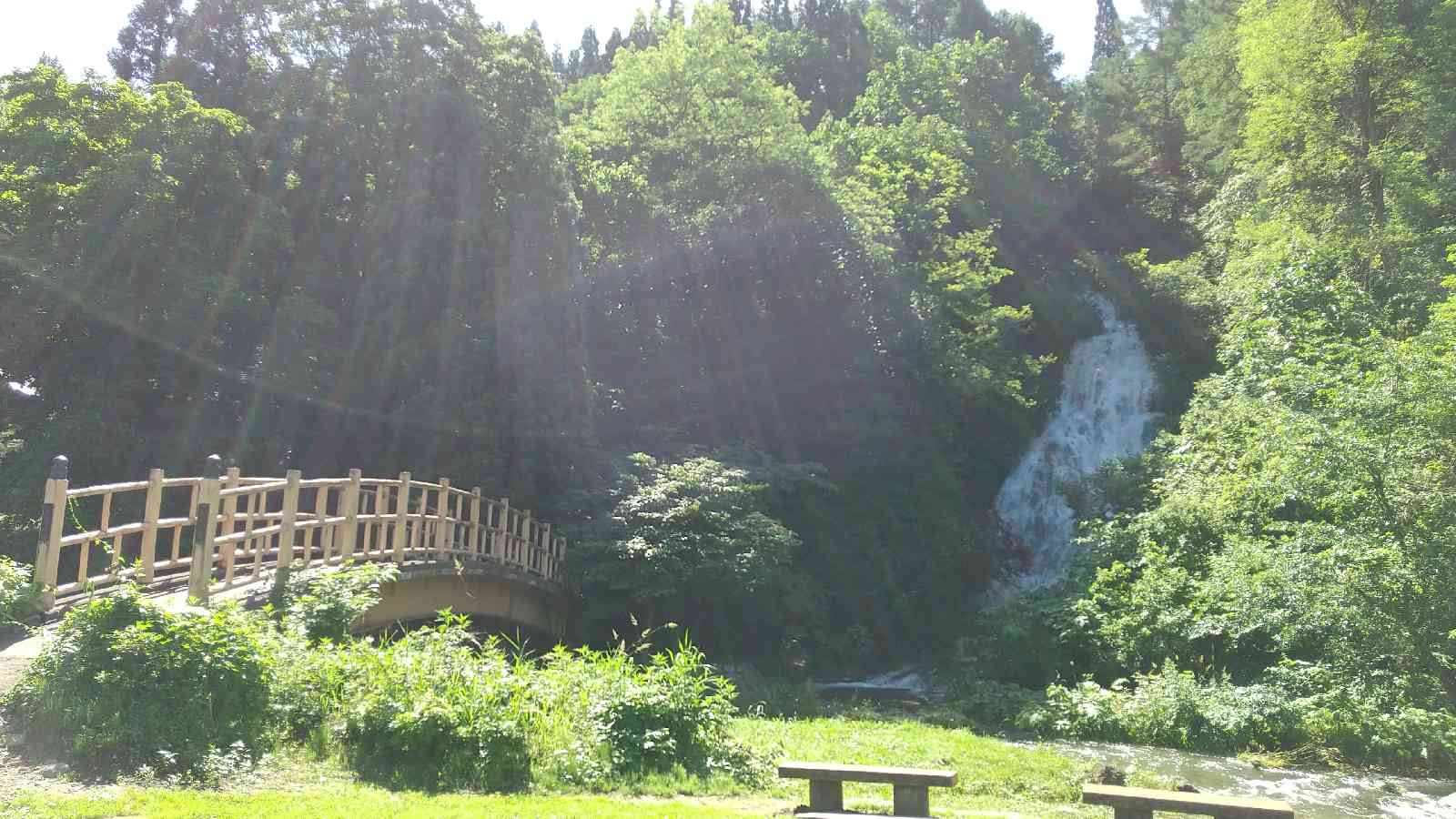 投稿された画像
