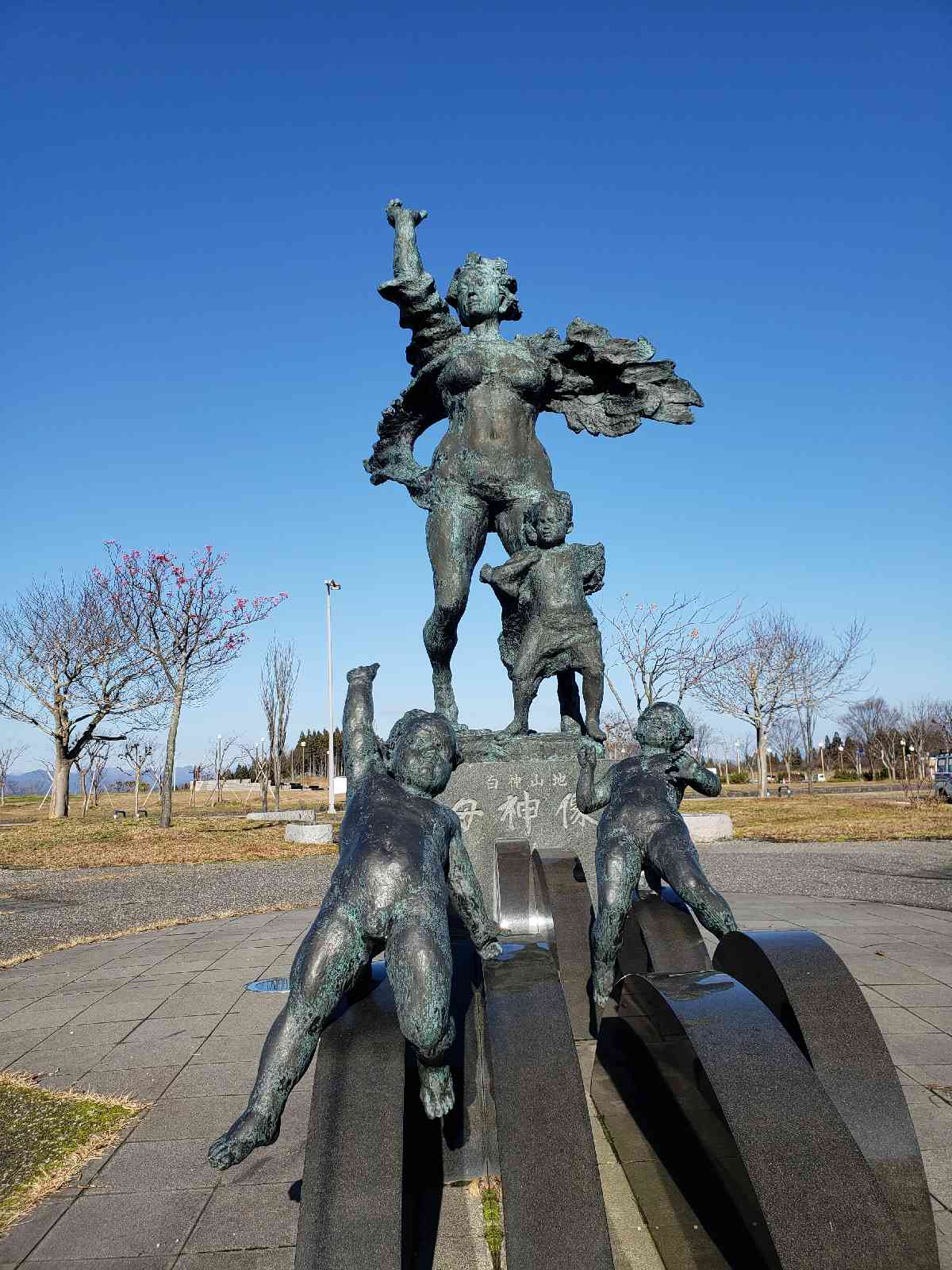 投稿された画像