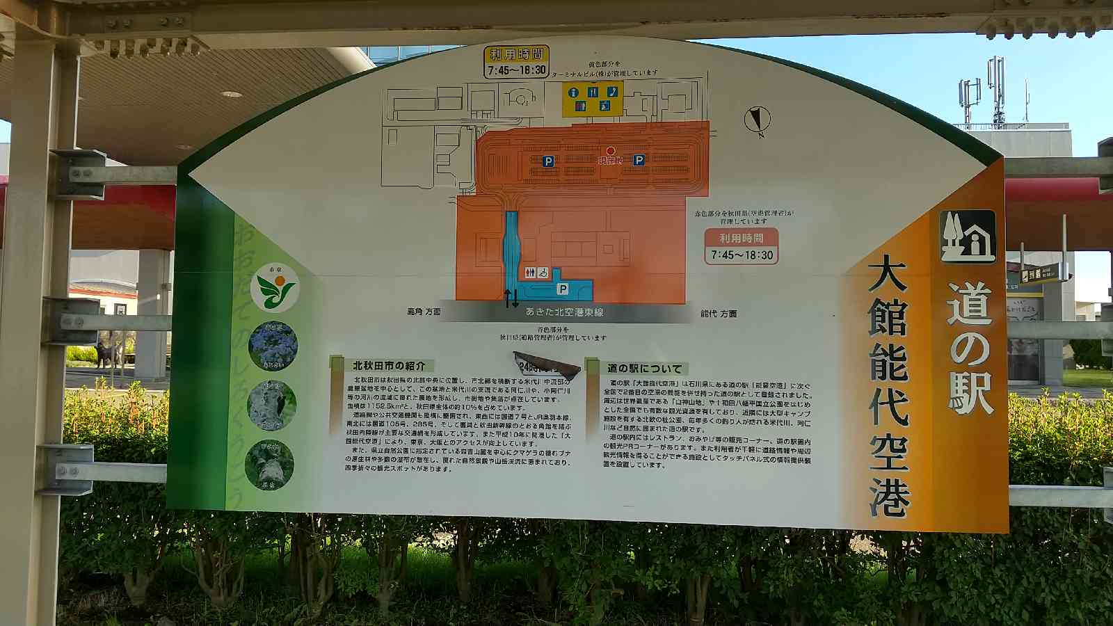 投稿された画像