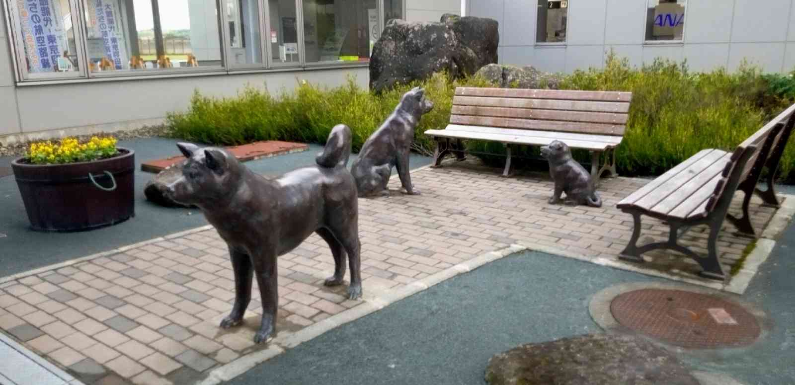 投稿された画像