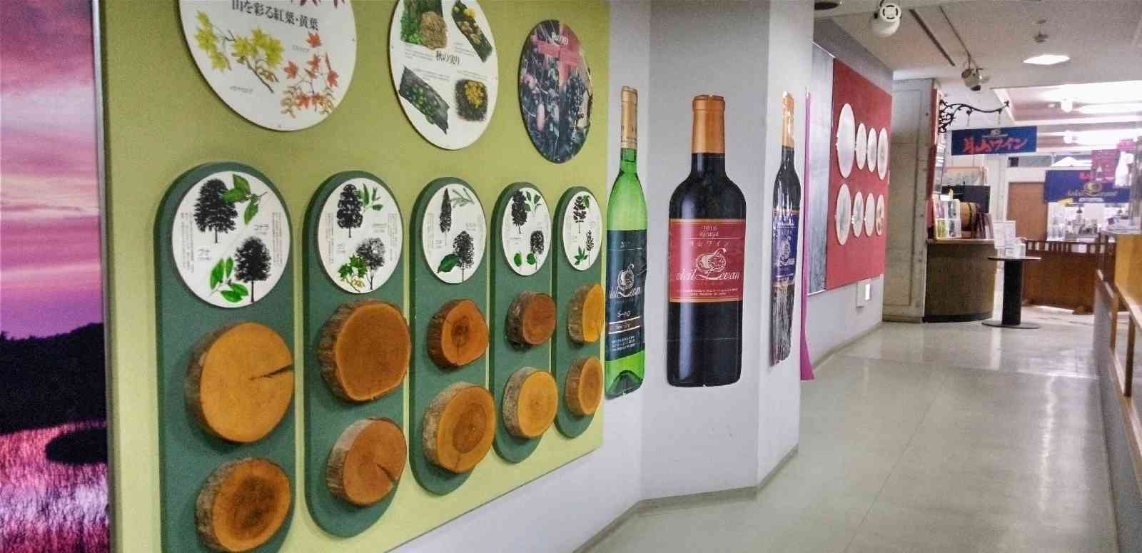 投稿された画像