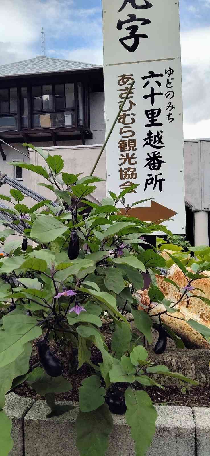 道の駅 月山の写真