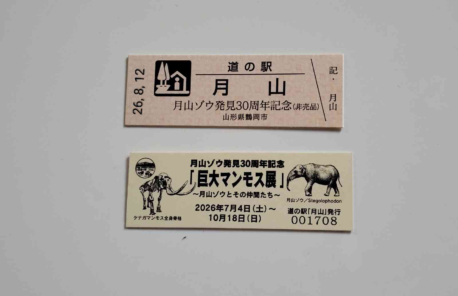 道の駅 月山の写真