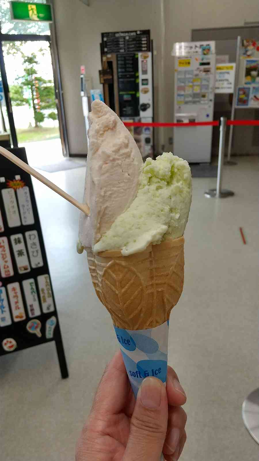 投稿された画像