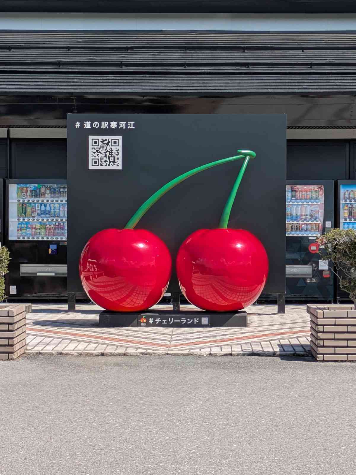 道の駅 寒河江の写真