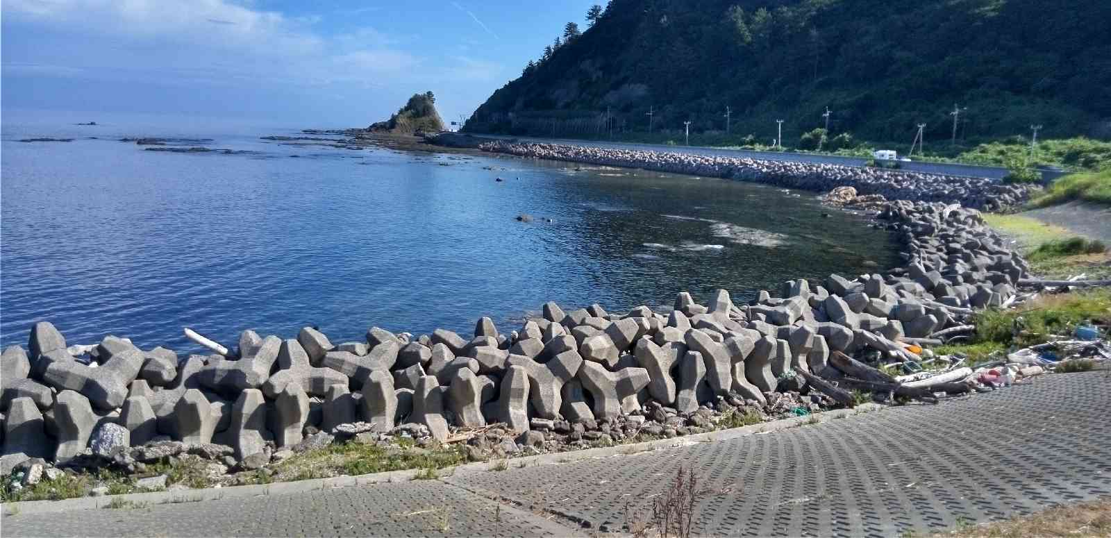 道の駅 あつみの写真