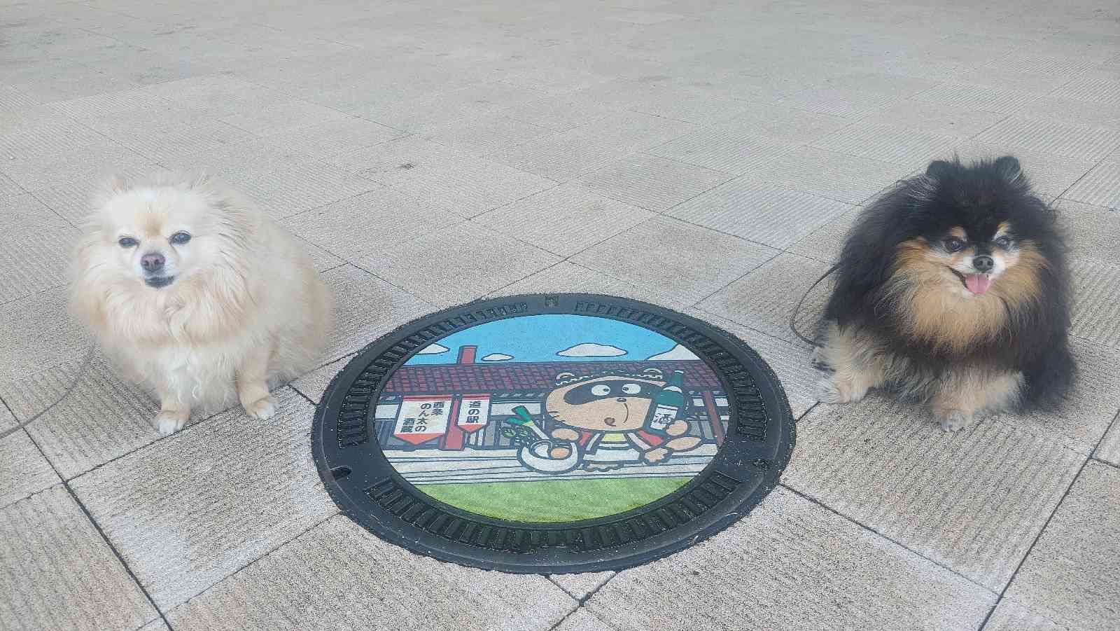 道の駅 西条のん太の酒蔵の写真