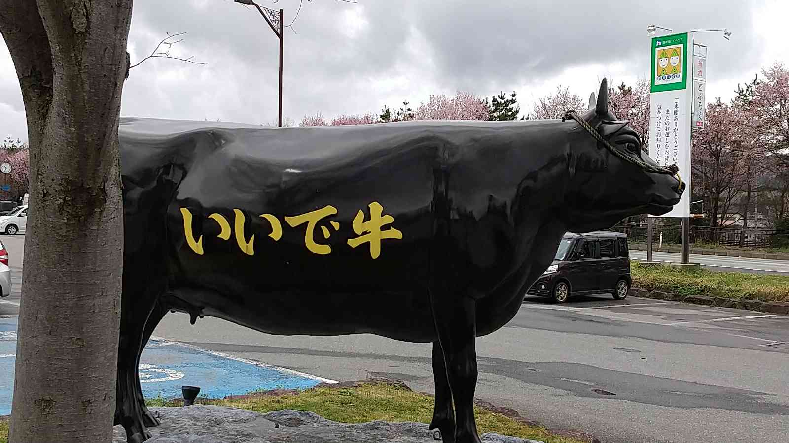 投稿された画像