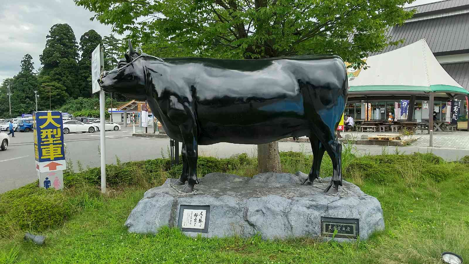 投稿された画像